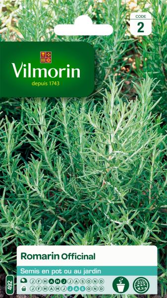 Aromatiques - Romarin Officinal - face recto
